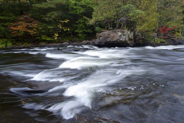 Paysage Automne Couleur Des Feuilles Automne Avec Ruisseau Eau Courante — Photo