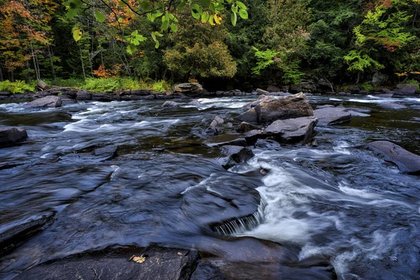 Color Hoja Otoñal Con Una Larga Exposición Del Arroyo Agua — Foto de Stock