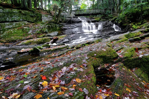 Paysage Automnal Roches Couvertes Mousse Feuilles Tombées Rivière Montagne Avec — Photo