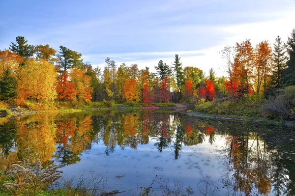 Осенние Сцены Осеннего Цвета Листьев Отражением Пруду — стоковое фото