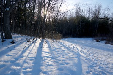 Kışın kar fırtınasından sonra kış manzarası