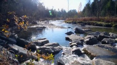 Sonbaharda Kanada 'daki Ulusal Park' ta nehir