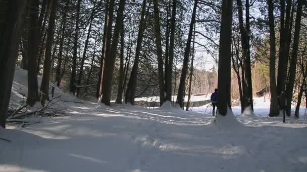 Ejercicio Matutino Caminar Por Sendero Bosque Invernal — Vídeo de stock