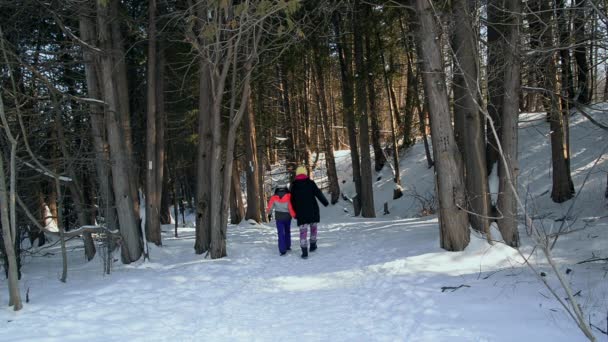 Μητέρα Και Κόρη Απολαμβάνουν Περπάτημα Άσκηση Στο Δάσος Του Χειμώνα — Αρχείο Βίντεο