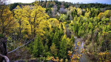 Baharın başlarında nehir vadisinin yüksek açılı manzarası