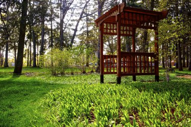 Baharda halka açık bir parkta ahşap bir kubbe.