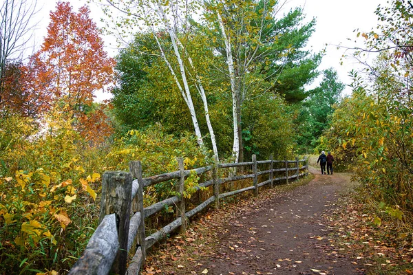 Parque Nacional Urbano Rouge Sendero Con Valla Otoño —  Fotos de Stock