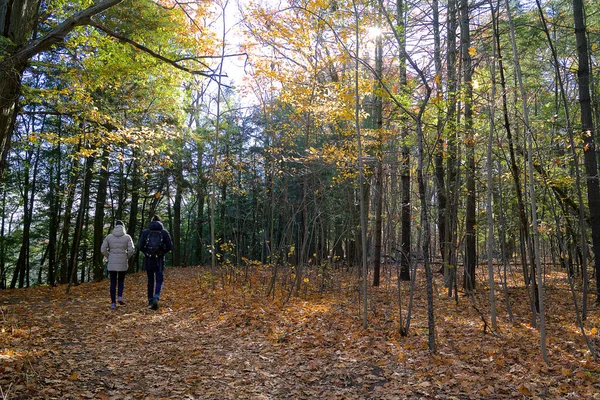 Sonbaharda Mercekli Bir Çift Ormanda Yürüyüş Yapıyor — Stok fotoğraf