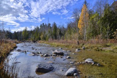 Ulusal Park 'taki nehir manzarası 