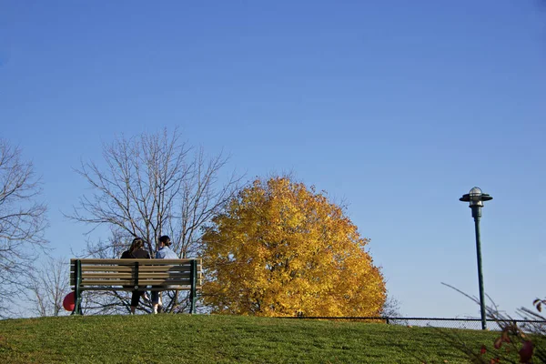 Vista Angolo Basso Del Parco Urbano Nazionale Rouge Autunno — Foto Stock