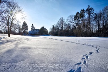 Kışın parkın üzerindeki ayak izi.