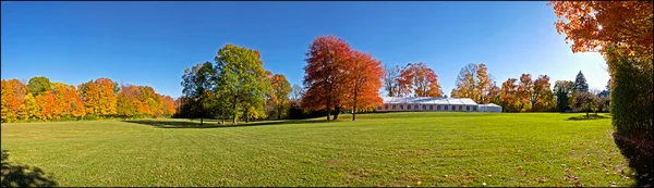 Parkta sonbahar yaprağı renginin panoramik görüntüsü