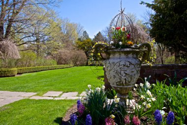 Baharda bir saksıyla bahçede