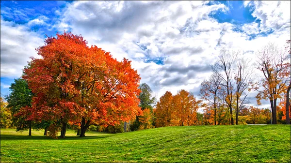 Hermosa Vista Del Color Las Hojas Otoño Otoño —  Fotos de Stock