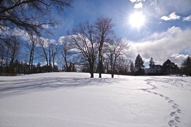 Kışın parkın üzerindeki ayak izi.