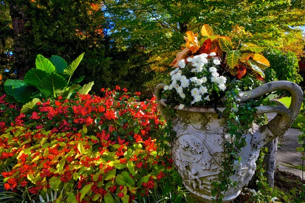 Quintal Livre Com Vaso Flores Outono — Fotografia de Stock