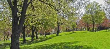 İlkbaharda halk parkının panoramik görüntüsü.