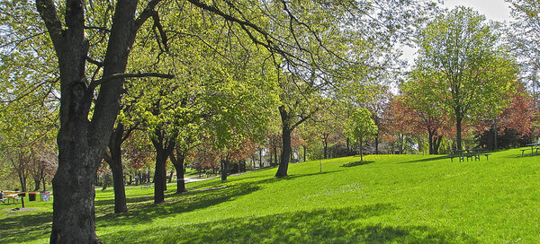 Панорамный вид на общественный парк весной.