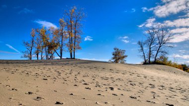 Kum tepeciği arkaplan manzarası Ağaçlı ve mavi gökyüzü
