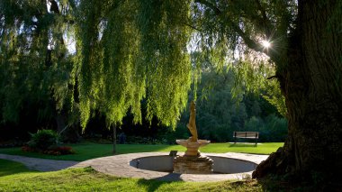 Yazın şelale ve söğüt ağacıyla halka açık bir park