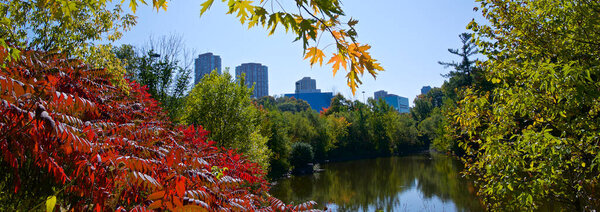 Panoramic view of the city landscape with fall leaf colour