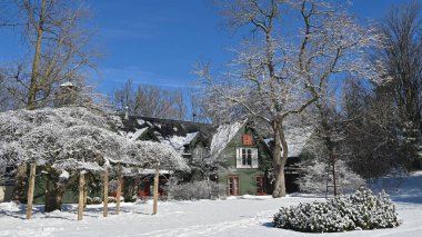 Derin karlı kış manzarası ve karla kaplı ağaç tepesi