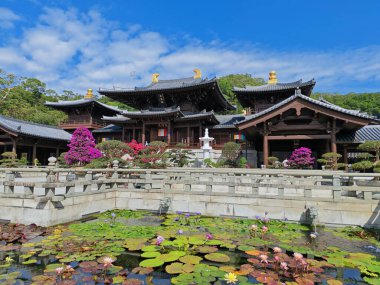 Nilüfer havuzlu Çin tapınağı