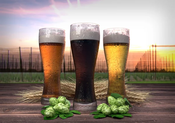 Three kinds of beer, barley, hops with hop-garden background - 3D render — Stock Photo, Image