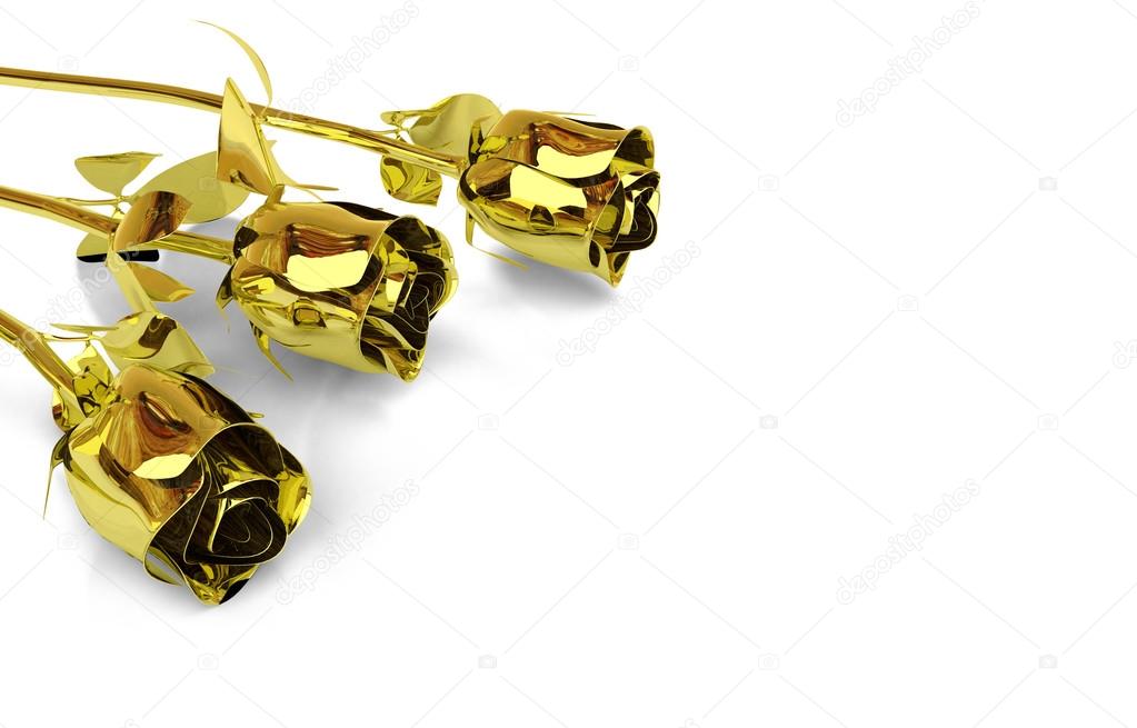 golden roses isolated on white background