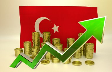 currency appreciation - New Turkish lira