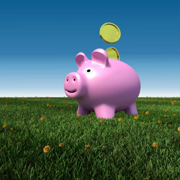 Piggybank en un prado con el fondo azul del cielo —  Fotos de Stock