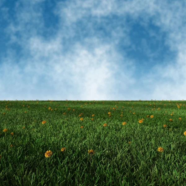 Image of green grass field with dandelions and sky background — Stock Photo, Image