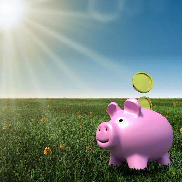 Piggybank en un prado con el fondo azul del cielo —  Fotos de Stock