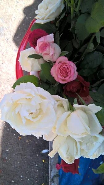 Malebný Pohled Kytici Barevných Růžových Květin — Stock fotografie