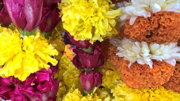 多目的利用のための色とりどりの花の風景 — ストック写真
