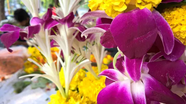 Vista Panorâmica Flores Coloridas Para Uso Multiúso — Fotografia de Stock