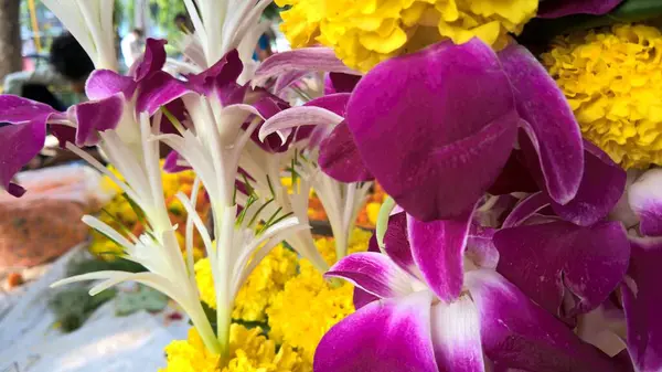 Vista Panorâmica Flores Coloridas Para Uso Multiúso — Fotografia de Stock