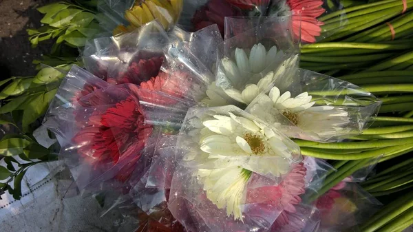Vista Cênica Cacho Flores Coloridas Margarida Gerbera Embaladas — Fotografia de Stock