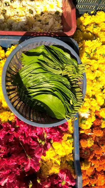 Vista Panorâmica Flores Coloridas Folha Betel — Fotografia de Stock