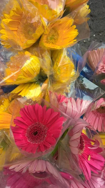 Vue Panoramique Bouquet Fleurs Colorées Gerbera Marguerite Emballées — Photo