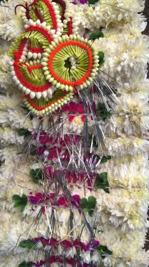 Shevanti ya da Kasımpatı çiçeklerinin yakın görüntüsü