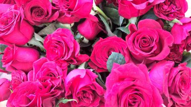 Çok amaçlı kullanım için bir demet taze gül çiçeği manzarası