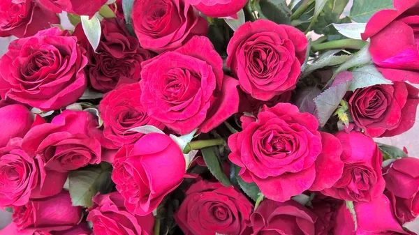 Живописный Вид Букет Свежих Цветов Роз Многоцелевого Использования — стоковое фото
