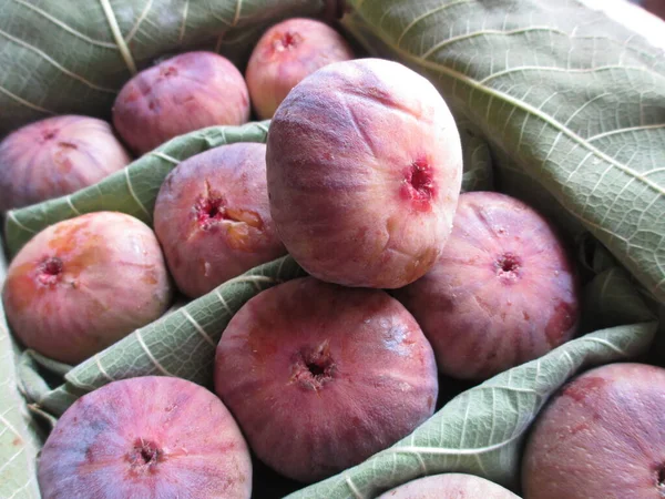 View Ficus Carica Also Known Common Fig Anjeer Fruit Packed — Fotografia de Stock
