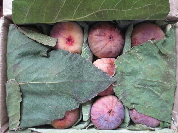 Вид Ficus Carica Известный Обычный Инжир Anjeer Фрукты Упакованы Коробке — стоковое фото