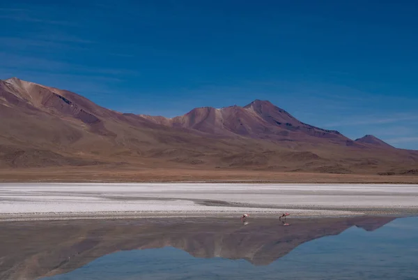 Erstaunliche Landschaft Aus Bergen Und See Mit Spiegelungen Und Flamingos — Stockfoto