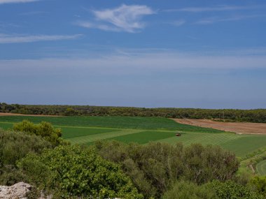 Yazın palma de menorca, İspanya 'da bir traktörle yeşil kırsal alan manzarası