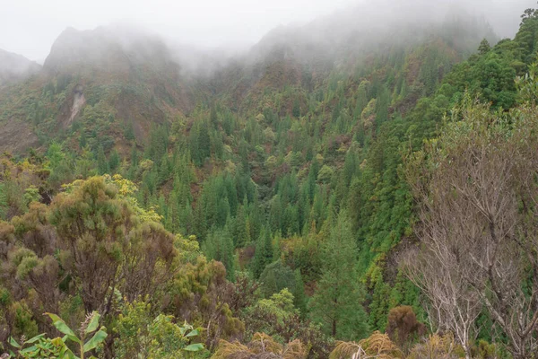 Paesaggio Appannato Con Alberi Montagna Nel Remoto Villaggio Sao Miguel — Foto Stock