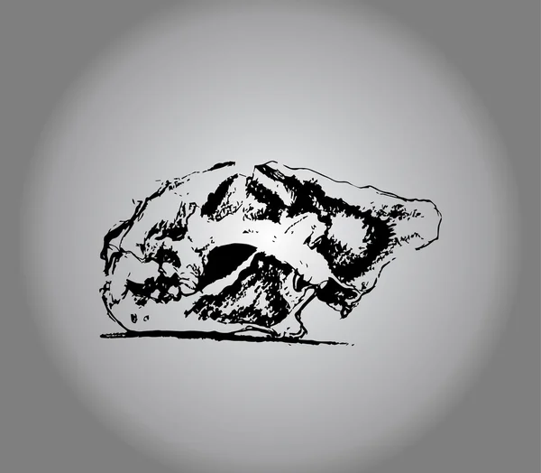 Siluet kafatası kedi