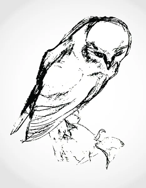 robot bir baykuş resmi